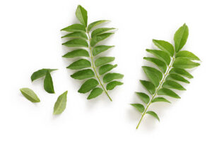 CURRY LEAVES