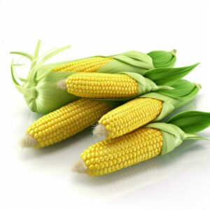 SWEET CORN