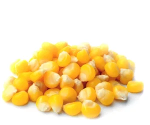 CORN