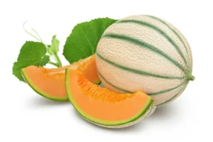 MUSK MELON